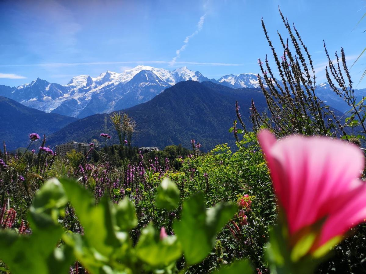 Duo Des Alpages Vue Exceptionnelle Sur Le Mont Blc Apartment Saint-Gervais-les-Bains Ngoại thất bức ảnh